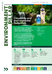 Environment Pillar